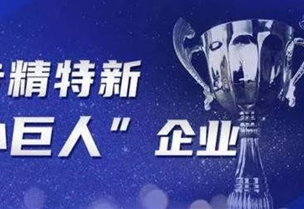 公司獲江蘇省“專精特新小巨人”榮譽稱號