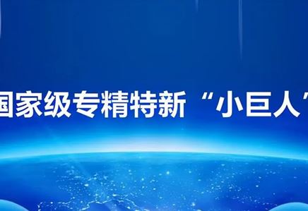 我司榮獲“專精特新小巨人”榮譽稱號，彰顯創(chuàng)新實力與卓越品質(zhì)